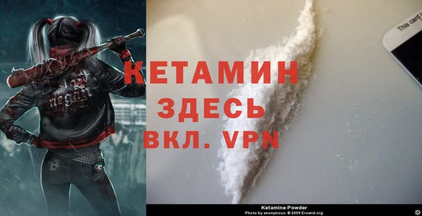 трава Абаза