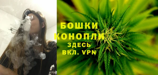 трава Абаза