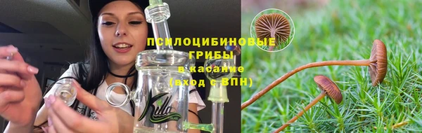 прущий лед Алзамай