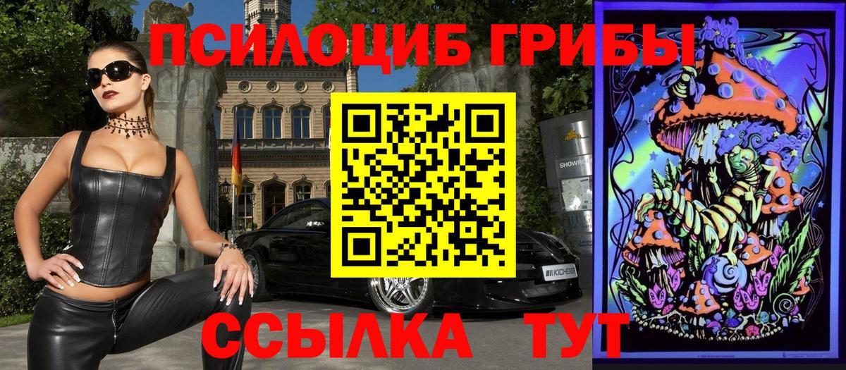Псилоцибиновые грибы прущие грибы Кашира